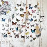 Die Cut Vellum Ephemera Stickers: Butterfly Greenhouse