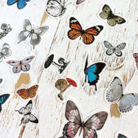Die Cut Vellum Ephemera Stickers: Butterfly Greenhouse