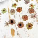 Die Cut Stickers: Spring Flowers