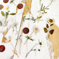 Die Cut Transparent Stickers: Daisies, Poppies and Wax Seals