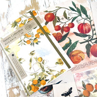 Collage Kit: Nature collection papers