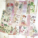 Collage Kit: New Nature collection