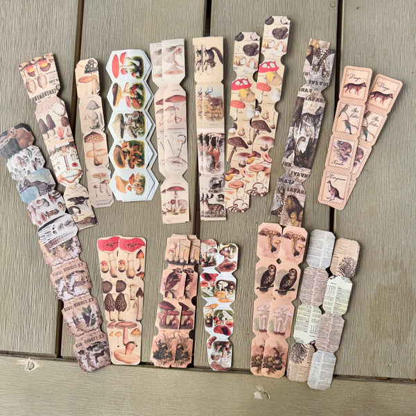 Collage Ephemera Borders Stickers: Hello Deer Mushroom
