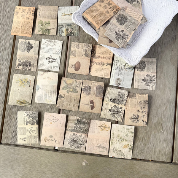 Collage Ephemera Sticker: Vintage Book Paper  Woodland