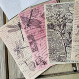 Collage Paper Pack: Fragments Neutrals