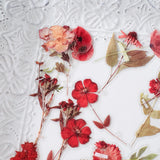 Clear Floral Sticker Collection: burgundy