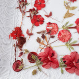 Clear Floral Sticker Collection: burgundy