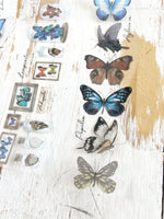 Sticker Sheets: Butterfly Dream