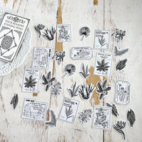 Vellum Stickers: Foliage Stamp