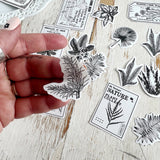 Vellum Stickers: Foliage Stamp