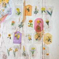 Die Cut Transparent Stickers: Love Story Floral