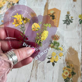 Die Cut Transparent Stickers: Love Story Floral